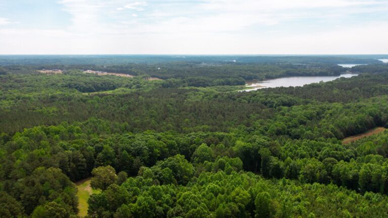 Gaston County to Build One of the Charlotte Region’s Largest Parks Along Lake Wylie
