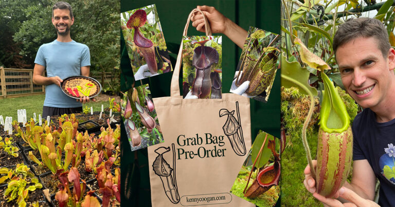 Charlotte Is About to Host One of The Largest Carnivorous Plant Pop-Ups