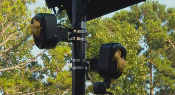 A.I. Flock Surveillance Cameras Vandalized as Controversy Escalates Across the Carolinas