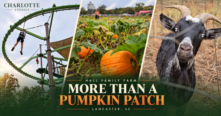 This Charlotte-Area Farm Has Pumpkins, Ropes Course, Curved Zip Rail, and America’s Best Corn Maze